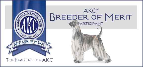 AfghanHound_BoM_Banner.jpg - 457 K