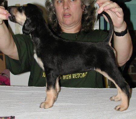 BlknSilverGirl6wks.jpg - 45.84 K