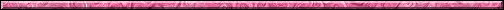 pinksdiv.gif - 3 K